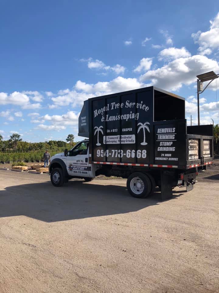 Royal Tree Service & Landscaping, LLC | Fort Lauderdale FL