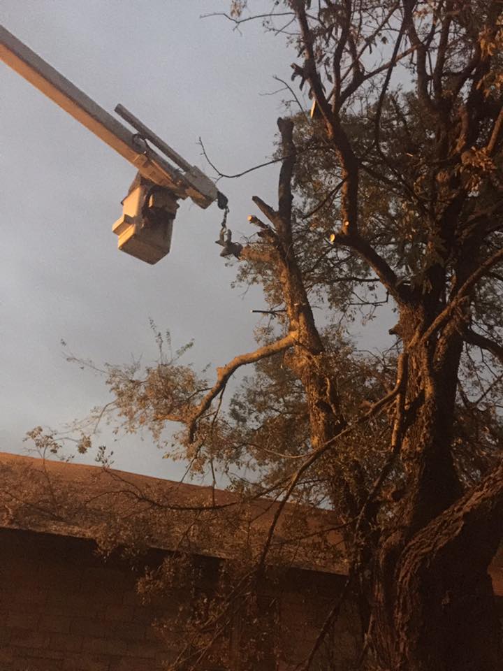 Shorty's lawn & tree service | Shawnee OK