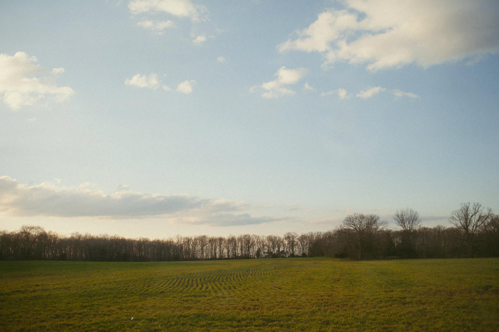 David Rhyne Photography