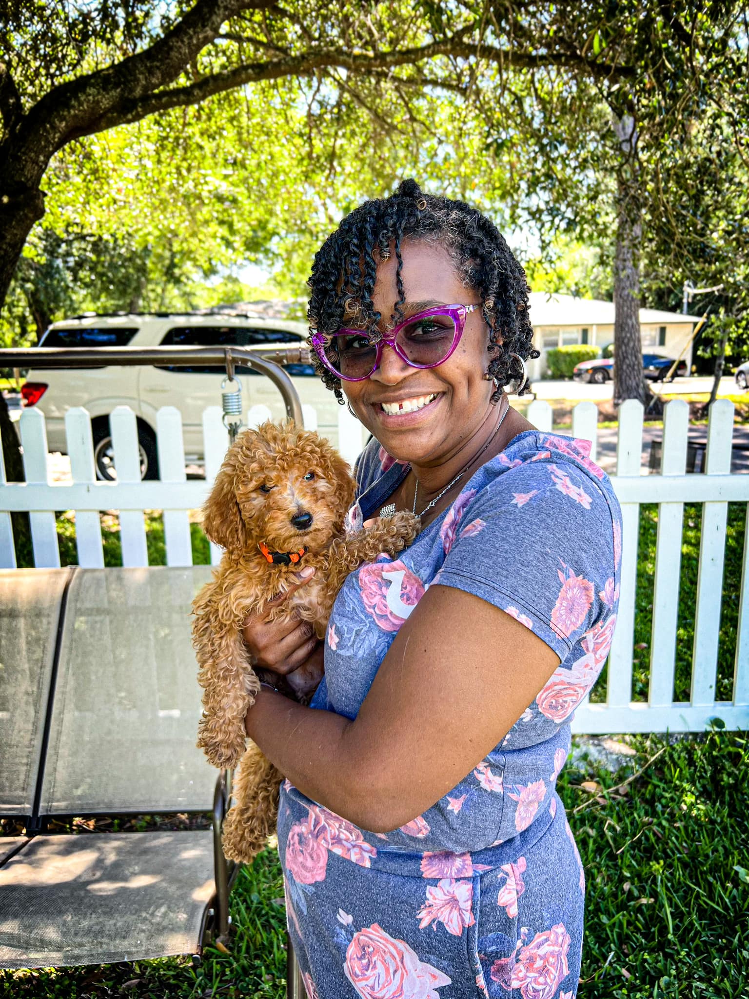 The Henry Doodles - Simba went home to his family here in Jax! 🐾🐾🐾 ...