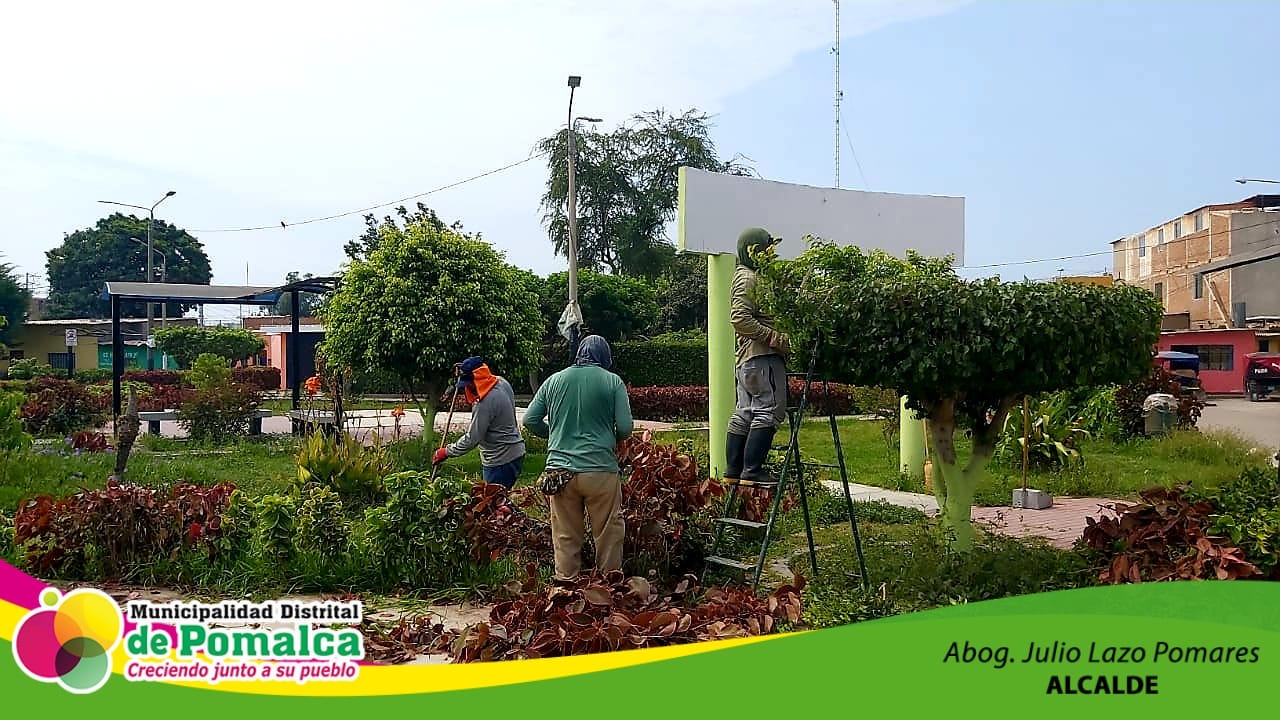 El área de Parques y Jardines... - Municipalidad de Pomalca | Facebook