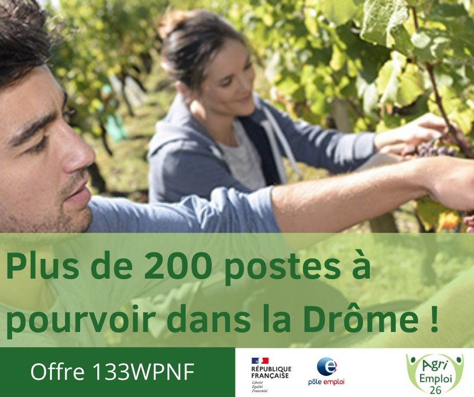 Purin De Prêle NATURENDIE 1 L - Engrais Naturel Bio Pour Légumes, Fleurs, Petits Fruits Et Vigne, Renforce Les Plantes Et Repousse Les Maladies