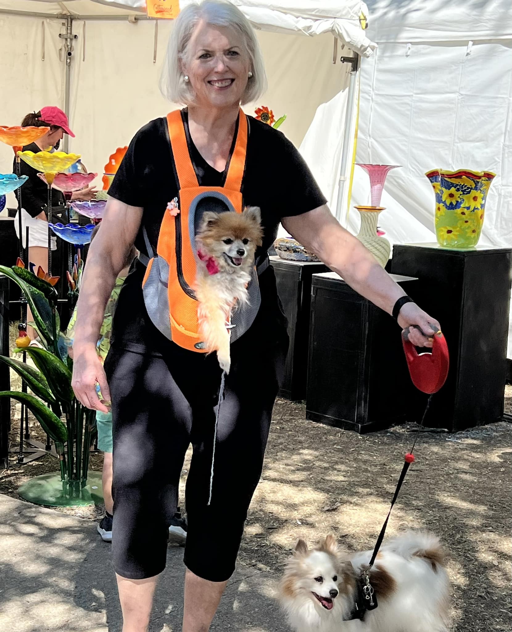 プルートlove We at Recycled Pomeranians and Schipperkes Rescue are so dedicated