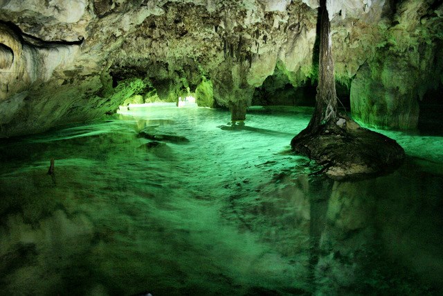 Cenote Santa Cruz | Akumal