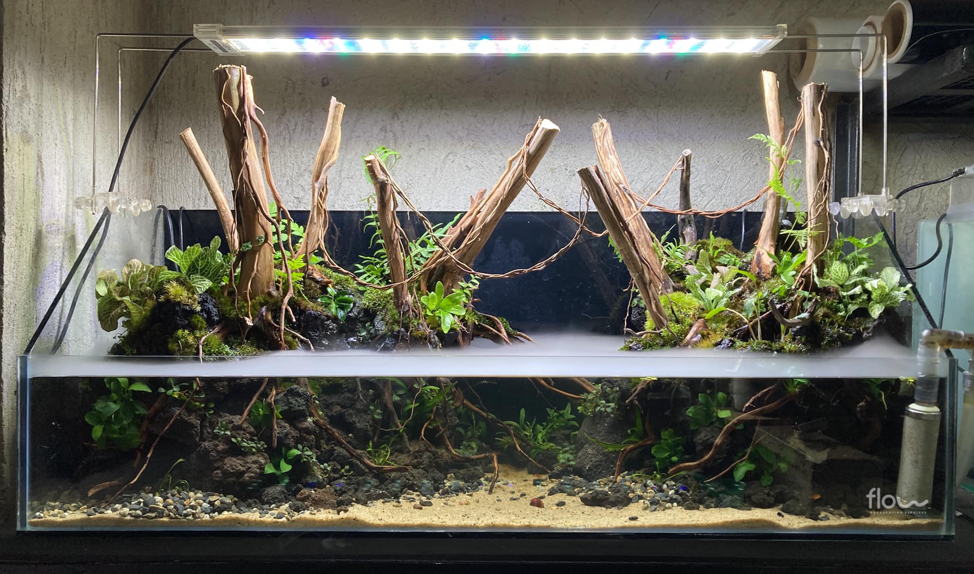 Flow - Latest project. A 90gallon tank with aquascape. 🔸 Specs: * Tank ...