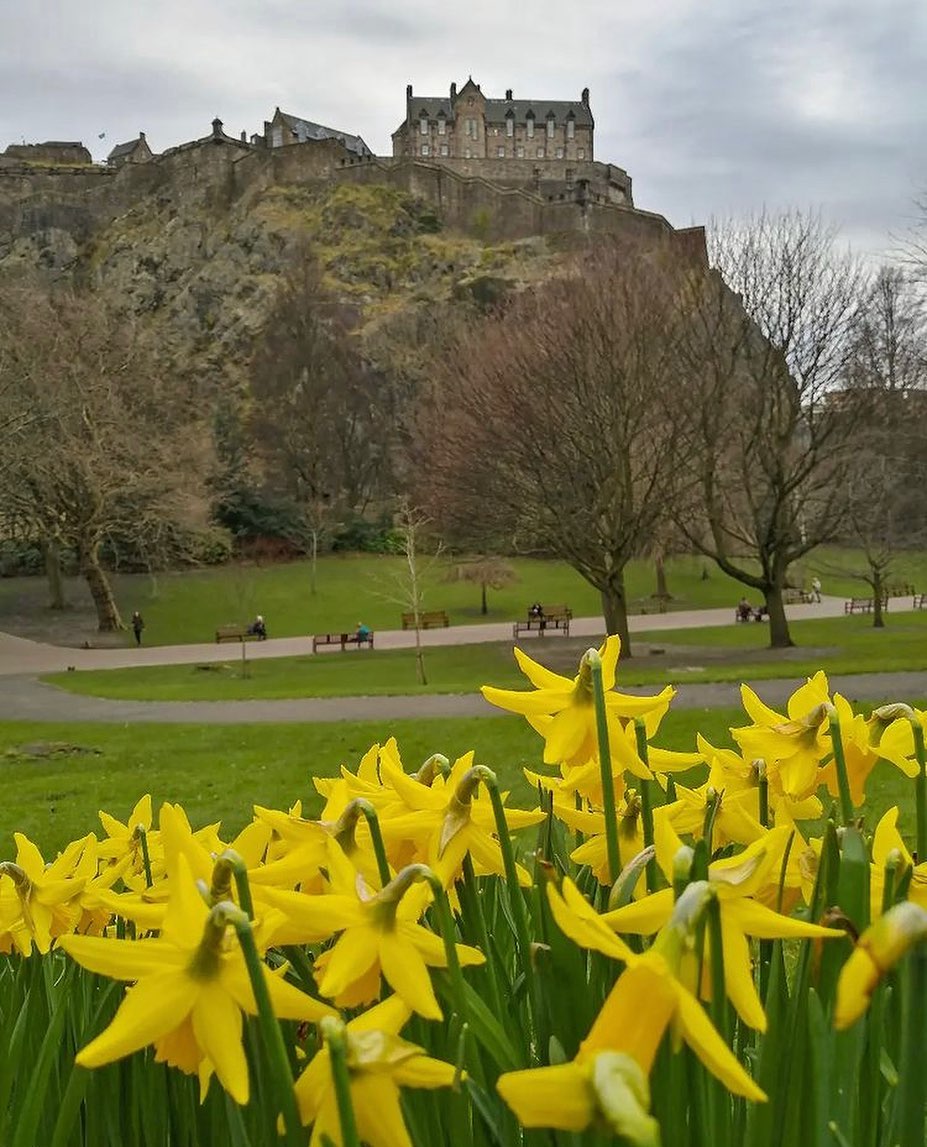 The first signs of Spring 🌼 This... - Edinburgh Castle | Facebook