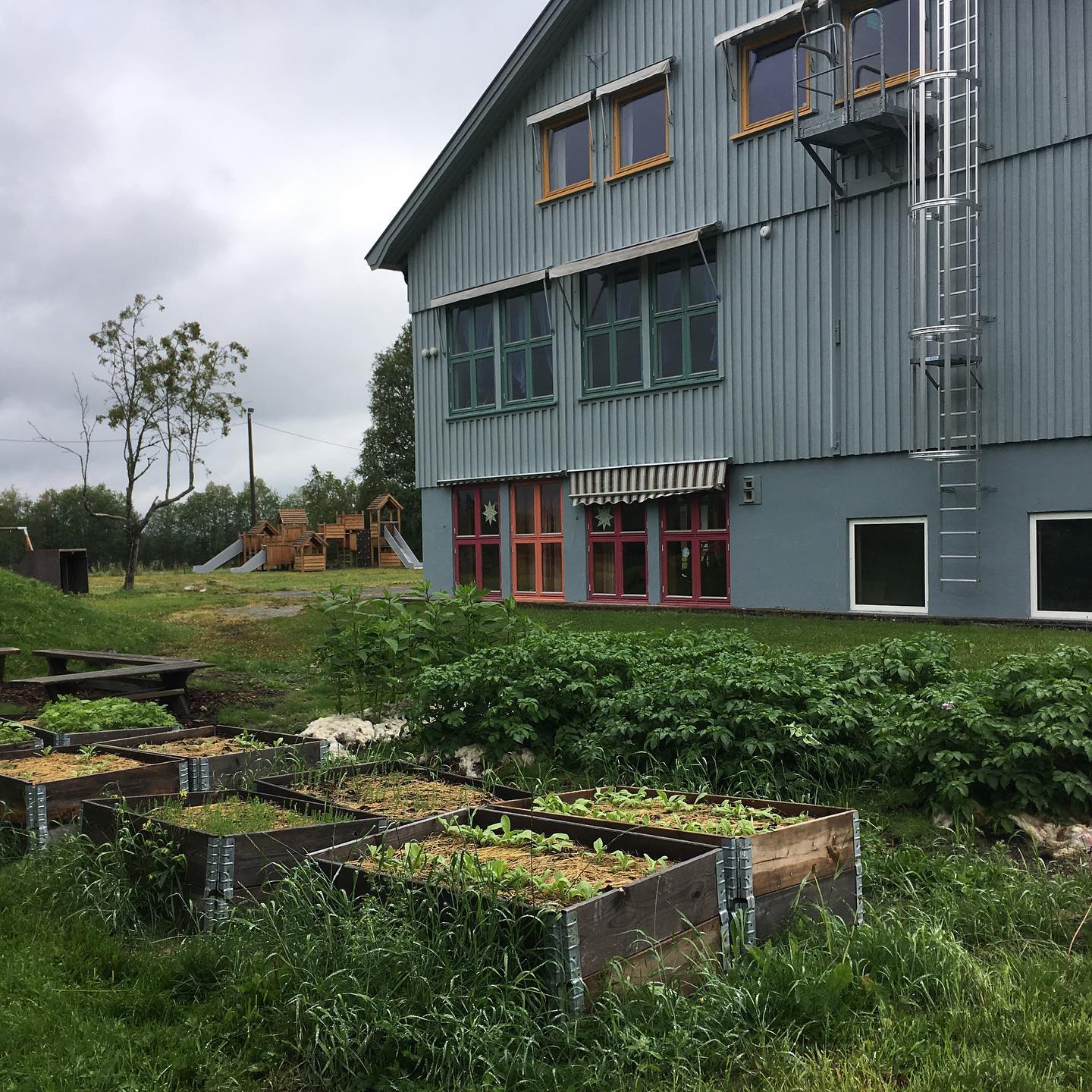 Steinerskolen i Trondheim - Fra Steinerskolens nye læreplan: «Som ...