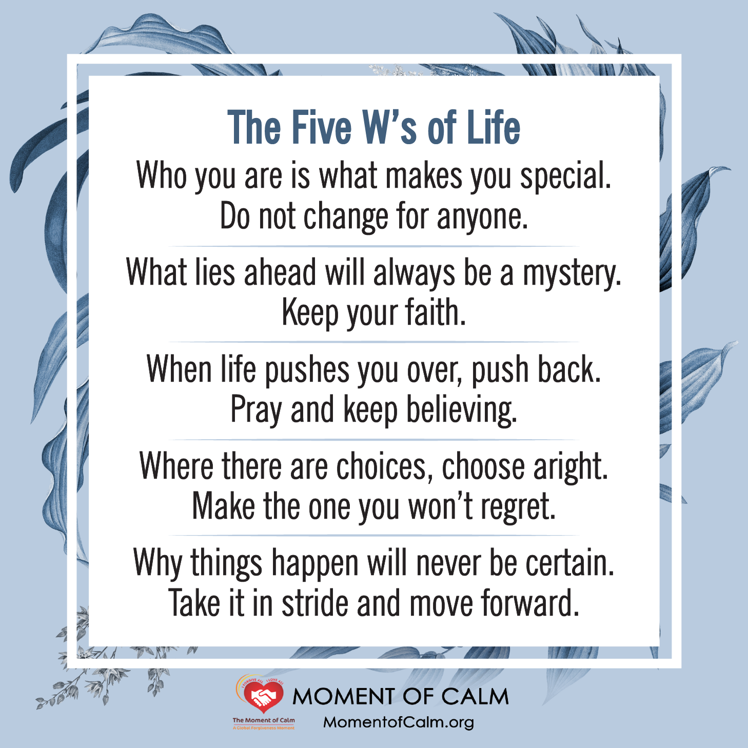 The Five W’s of Life...... - The Moment of Calm | Facebook