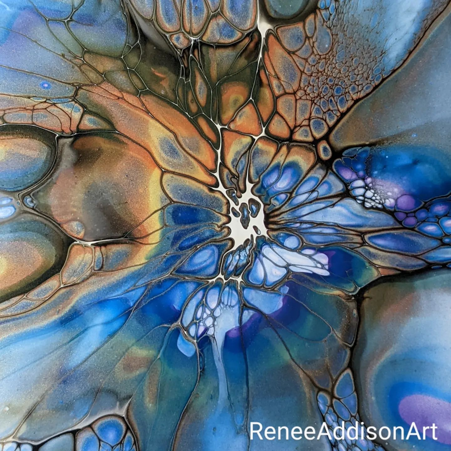 Addison Designs