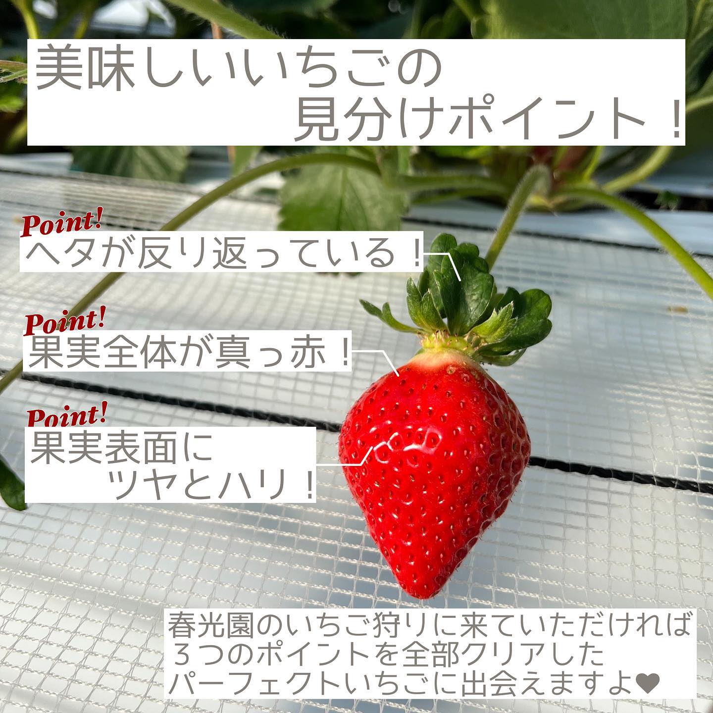 Shunkoen Ukiha Home Facebook