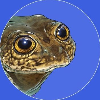Día - El quique, uno de los mustélidos mas carismáticos que habitan en ...