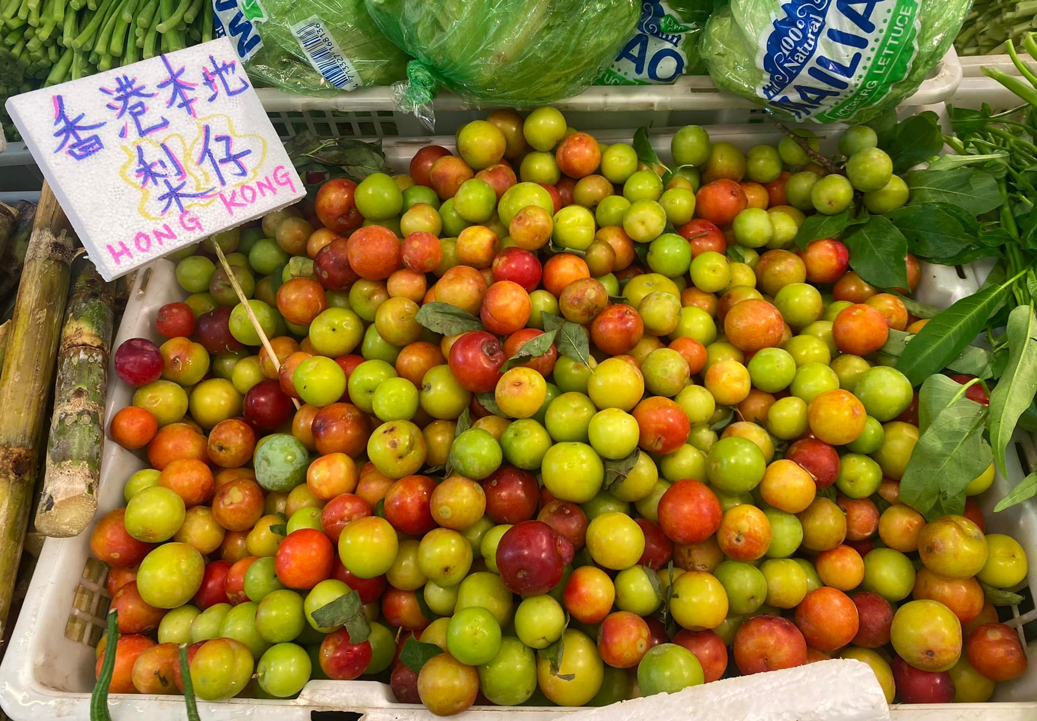 陶記鮮蔬 - 新登場香港本地梨仔，芋頭味南瓜 🥳