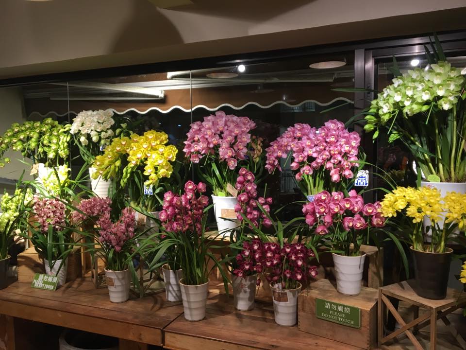 New York... - New York Flower Group - Dutch Flower Line
