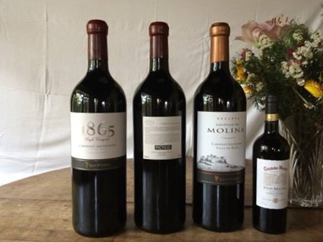 Botellas Ficticias - Botellas Dummy - Botellas Dummies