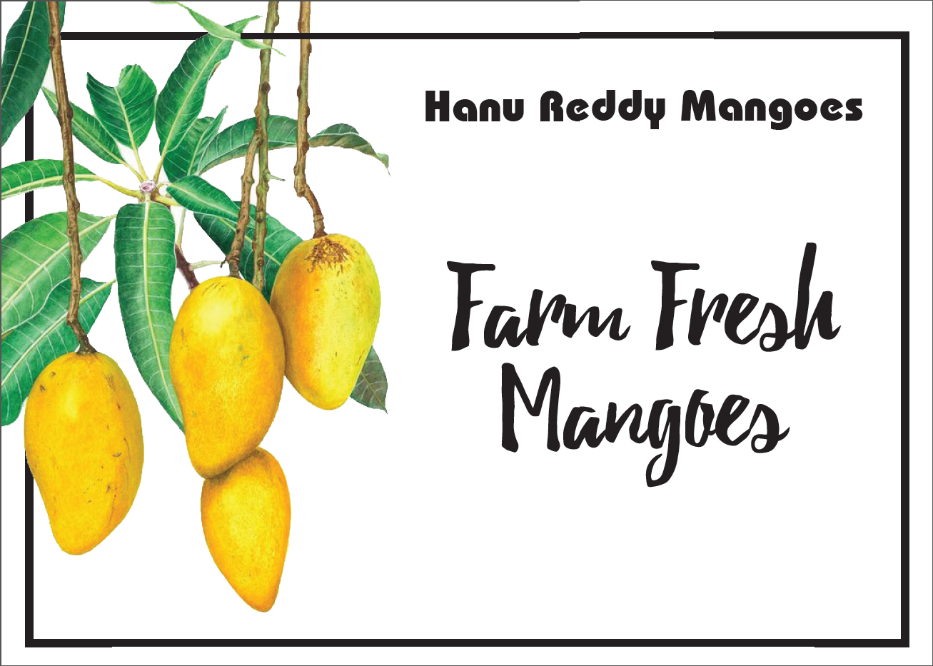 Hanu Reddy Mangoes | Chennai