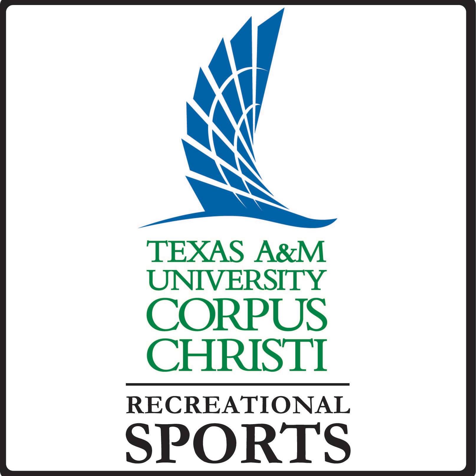 🔥 NIRSA Flag Football Recap — Last weekend went CRAZY. Thanks to all ...