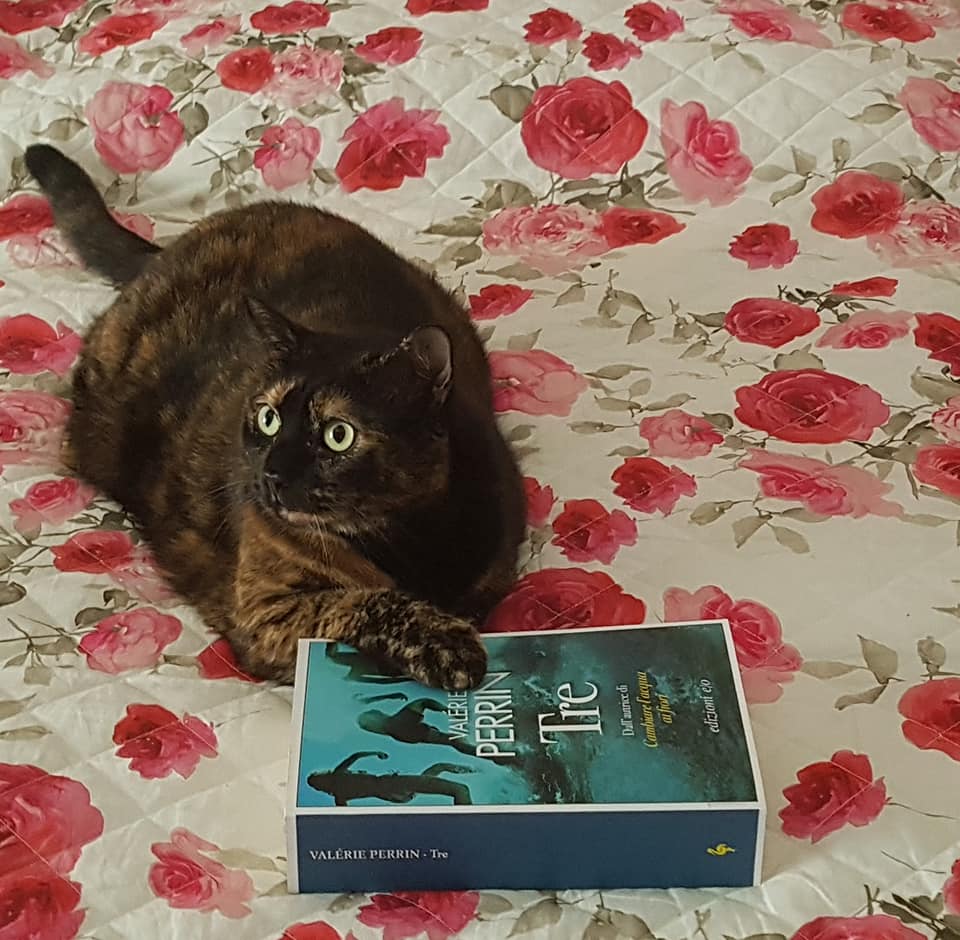 Il mio Angolo di Lettura di Ivana Ripoli
