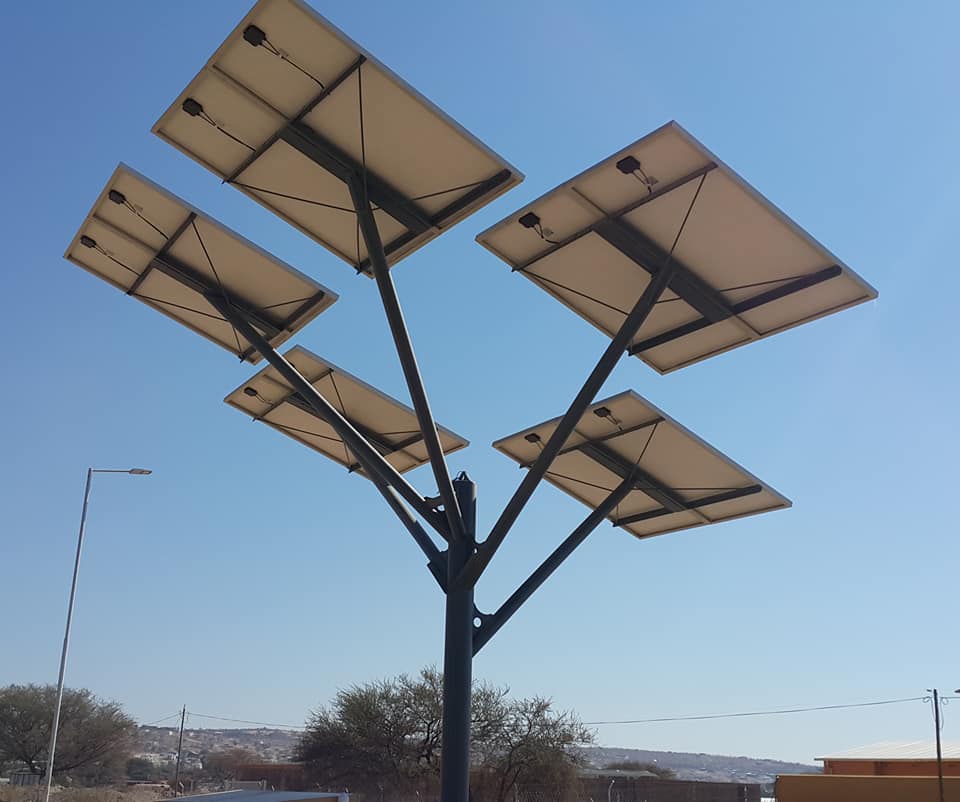 Some solar trees that we... - Procon Electrical And Steel Cc