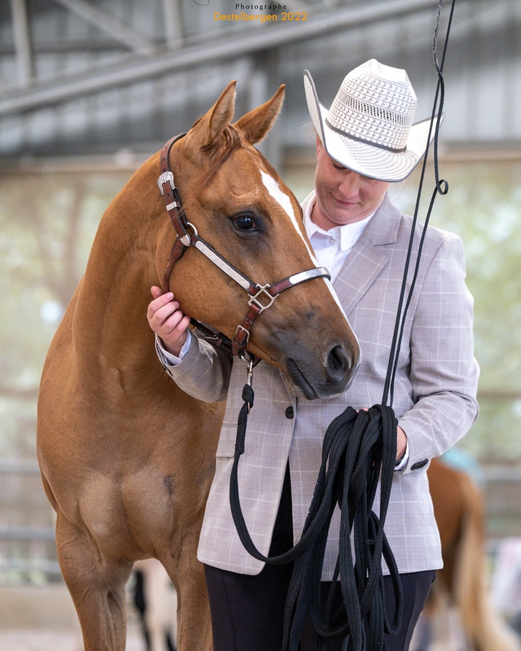 🇧🇪 Paint for Belgium 🇧🇪 O'Malley did... - The Speed L Ranch