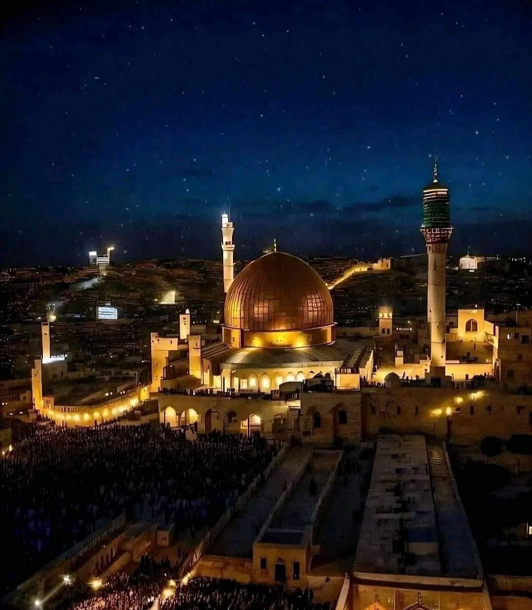 صفوان الجرادي