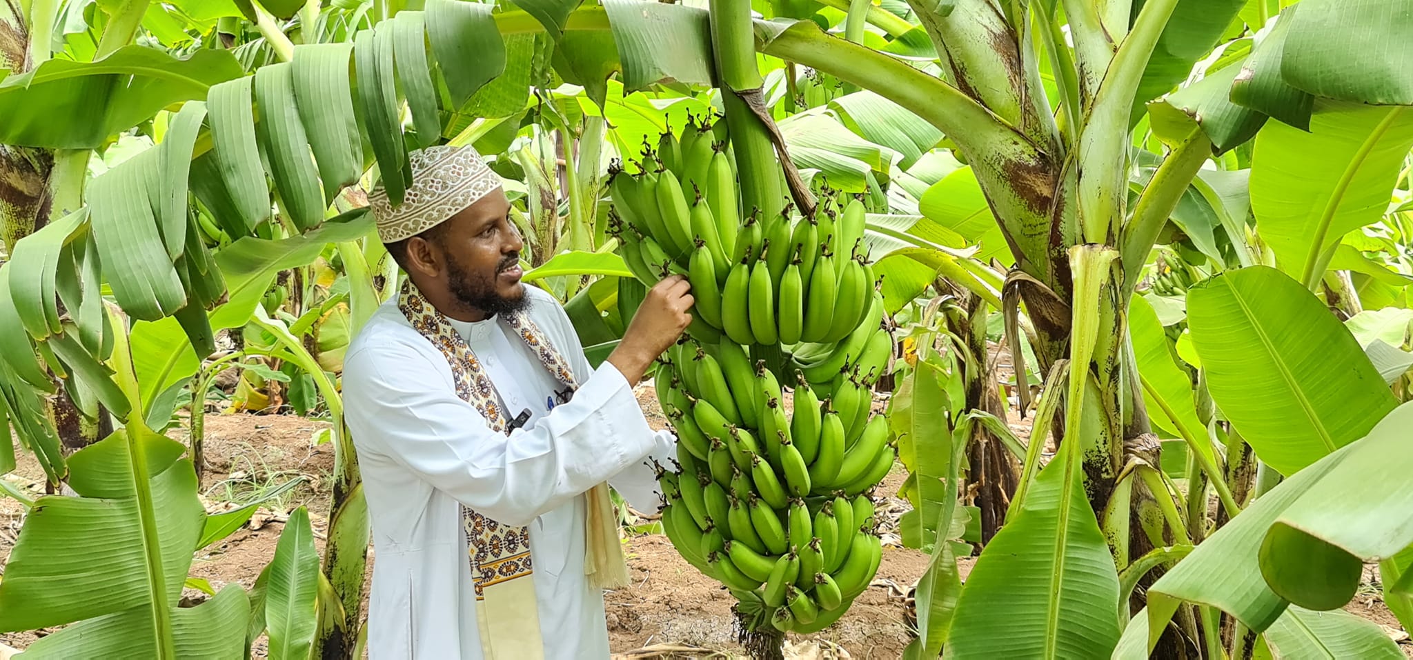 مركز ثواب لخدمة الأوقاف في الصومال | Mogadishu