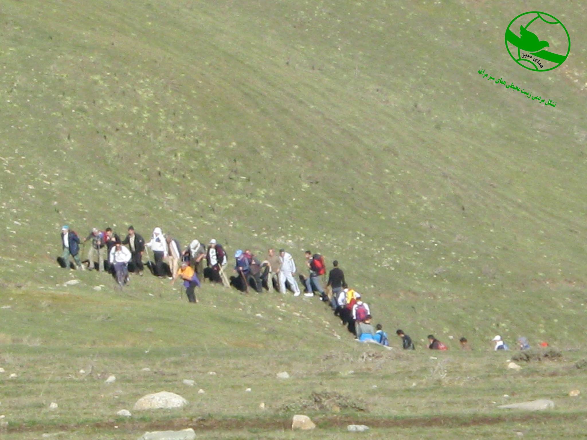 تشکل - (( همکاری مشترک شهرداری مراغه با تشکل مردمی زیست محیطی همای سبز ...