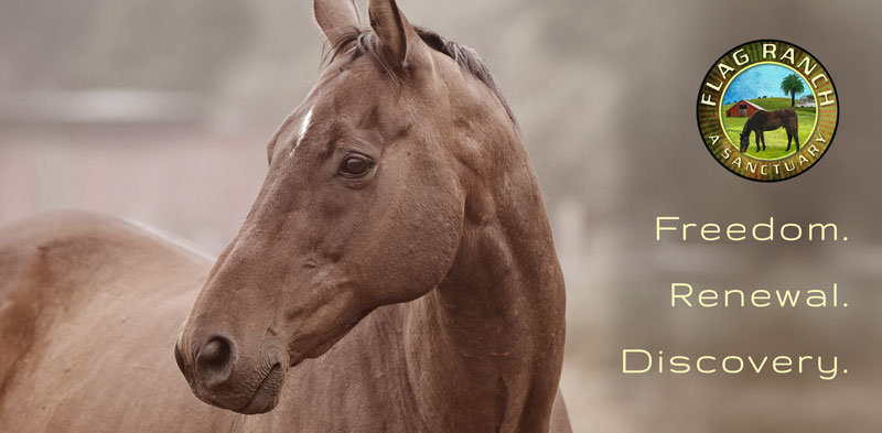 Flag Ranch: Home of The Flag Foundation for Horse/Human Partnership ...