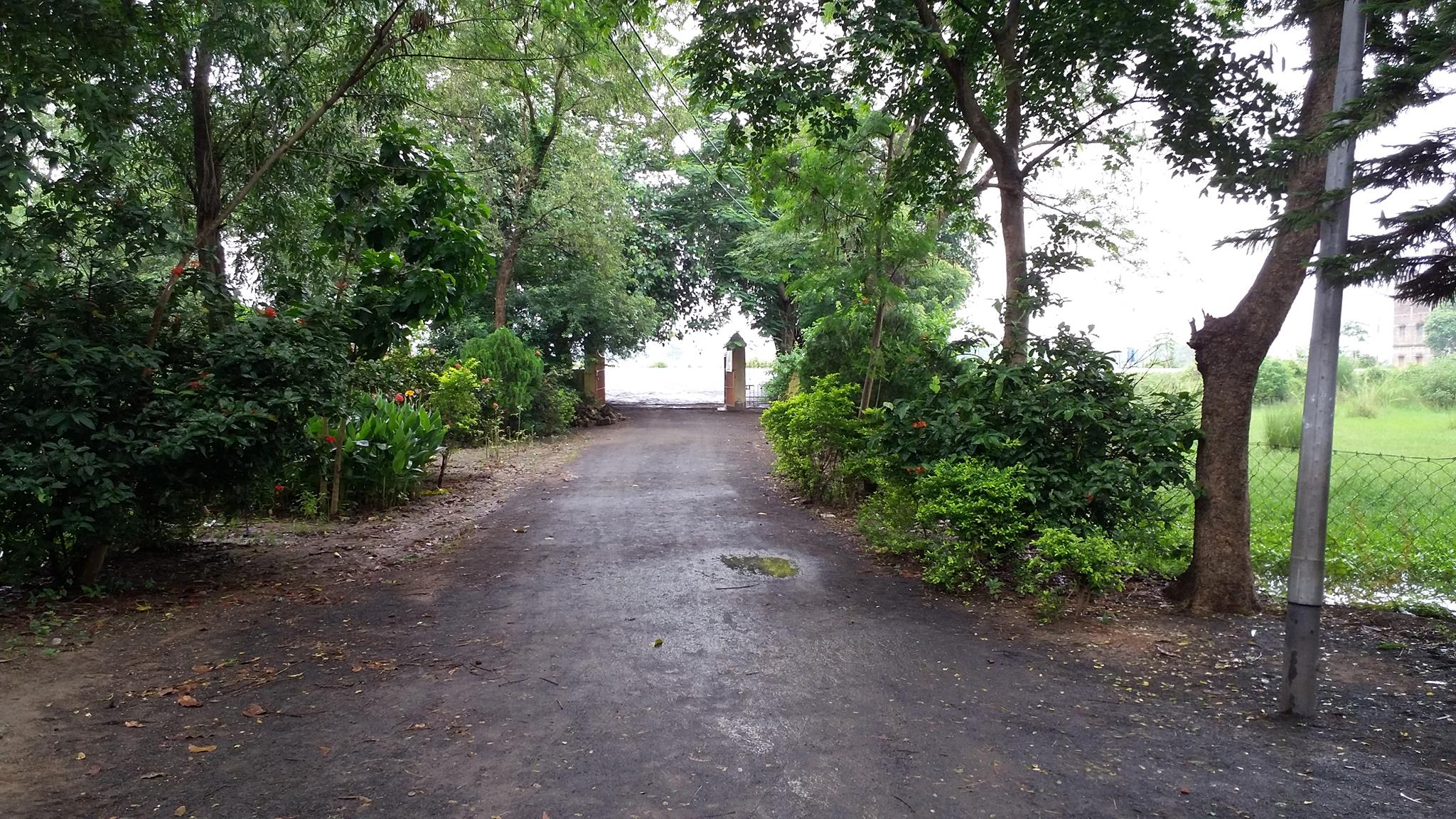 Sambit Adarsha Vidyangan | Ahmadpur