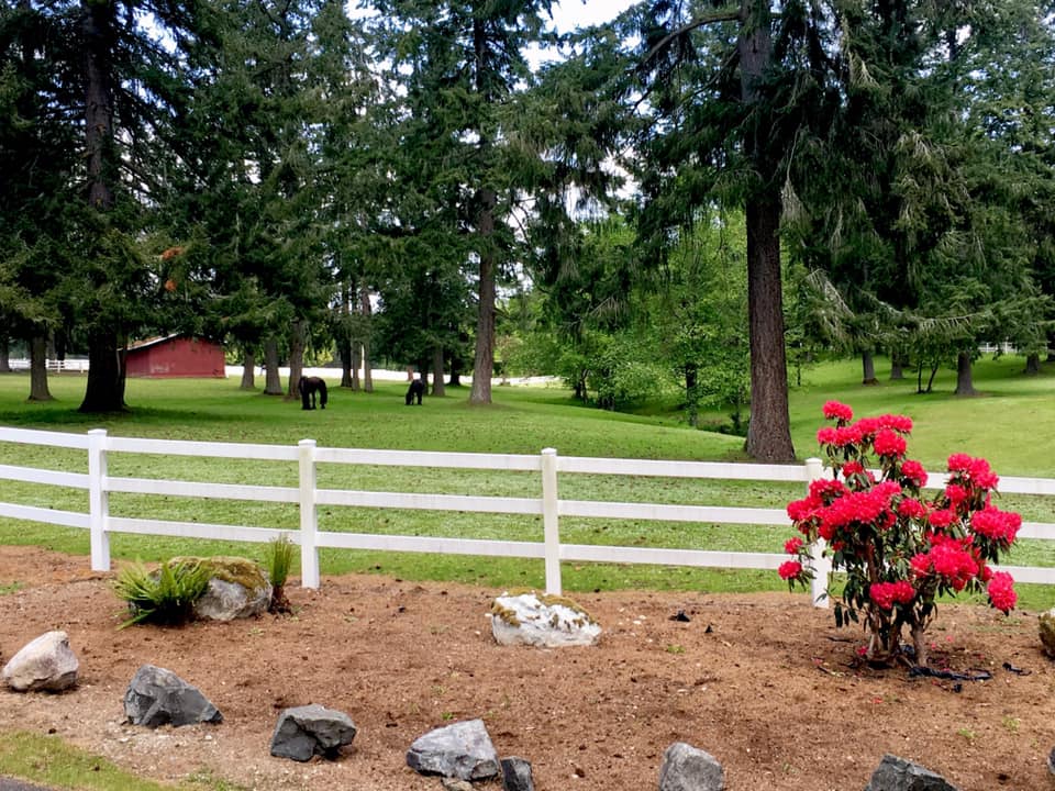 Paddock Wood Equestrian Center | Gig Harbor WA