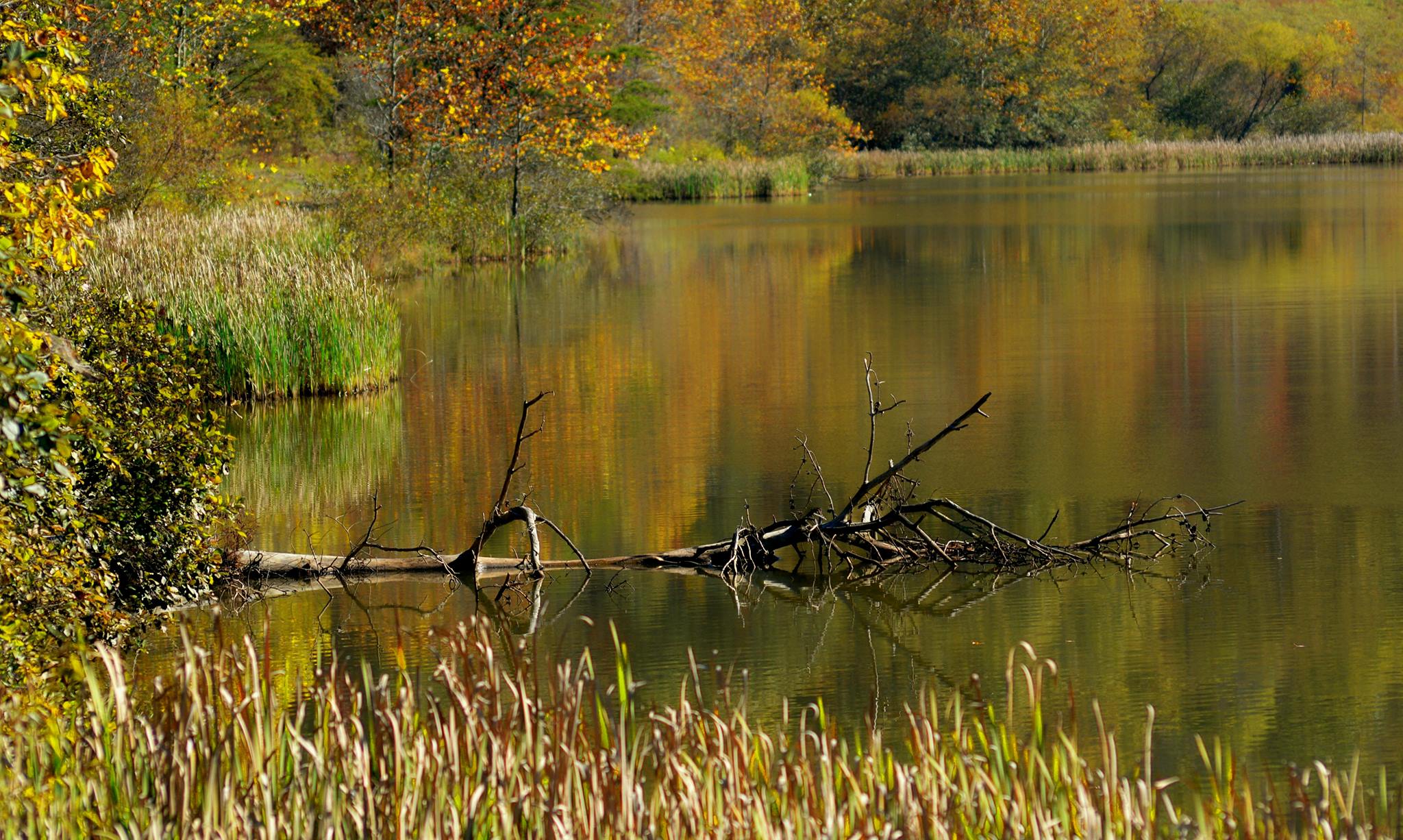 Belle River Images