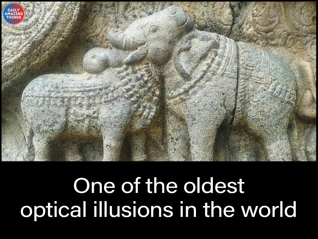 Amazing - One of the oldest optical illusions in the world. An elephant ...