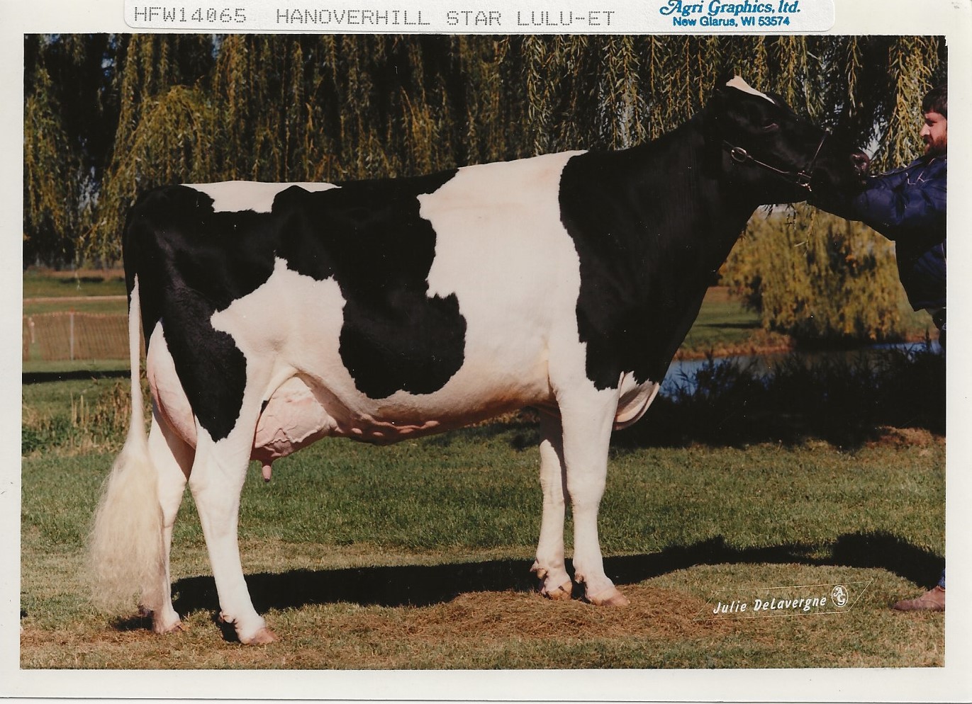 Legendairy - WWS Boots Apollo EX-91 b. 12/25/1976 was sired by Hilltop ...