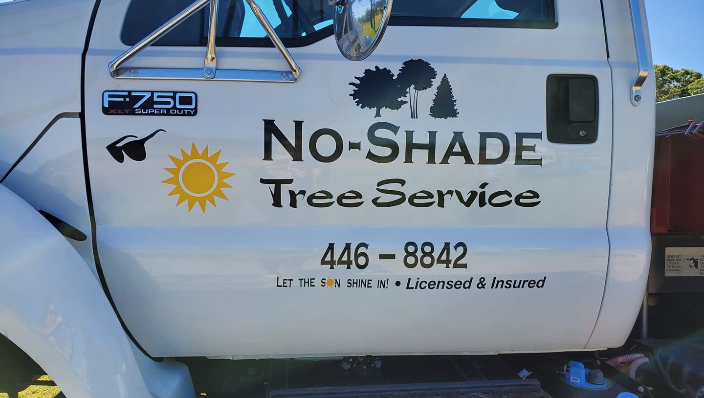 No-Shade Tree Service - Abbeville, SC | Abbeville SC