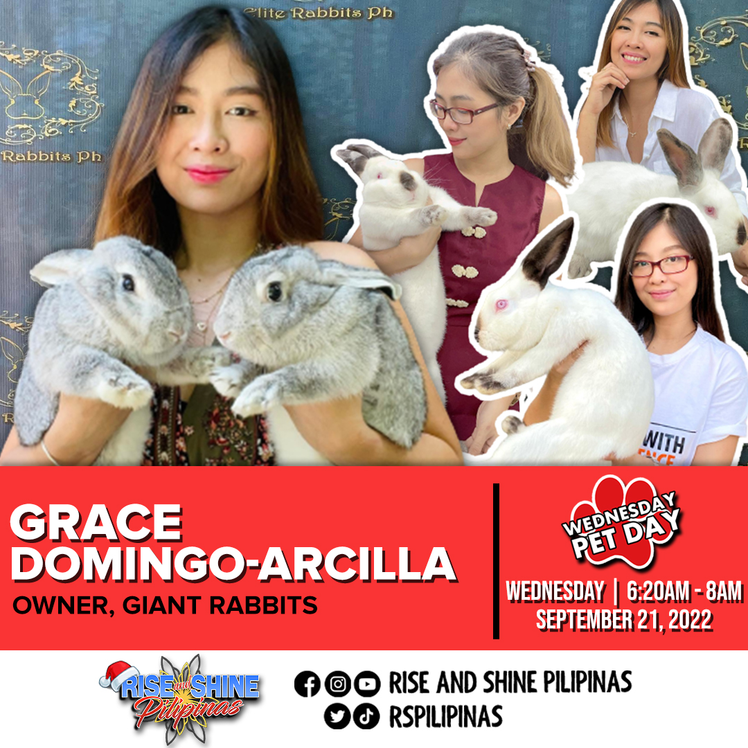 Don’t forget to tune in tomorrow at PTV... - Elite Rabbits Ph | Facebook