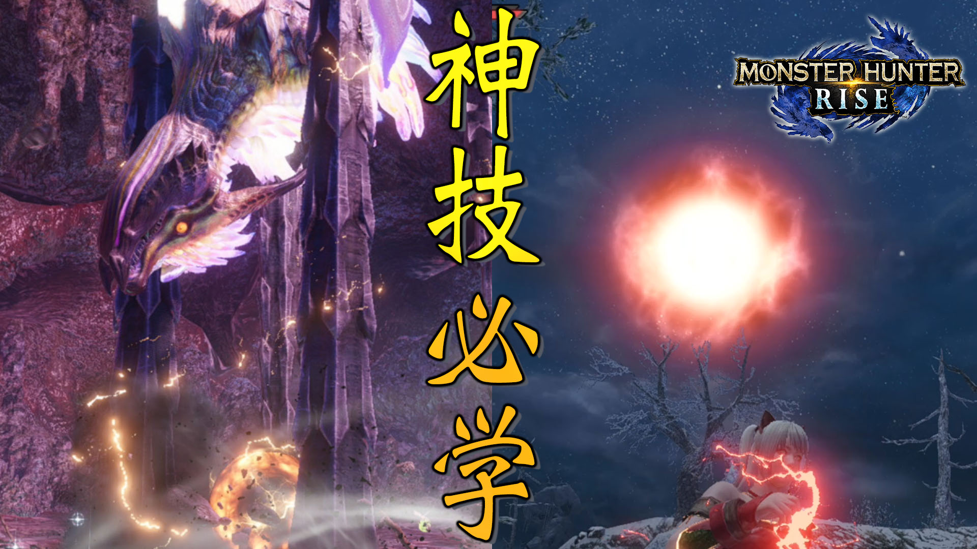 Sky玩到翻掉-Live - 這幾天參加了幾場野團啊，發現不少獵友會因為這兩隻古龍各別兩個大招而滅團多次，我就想了一下... | Facebook