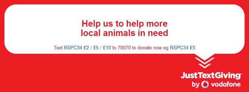 RSPCA - Balham & Tooting Branch