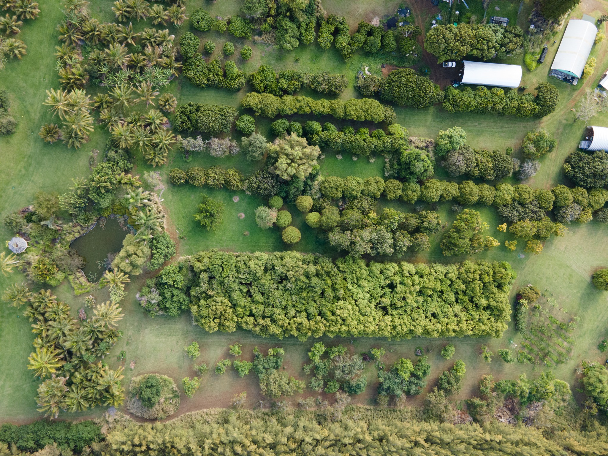Touching The Earth Farm | Hawi HI