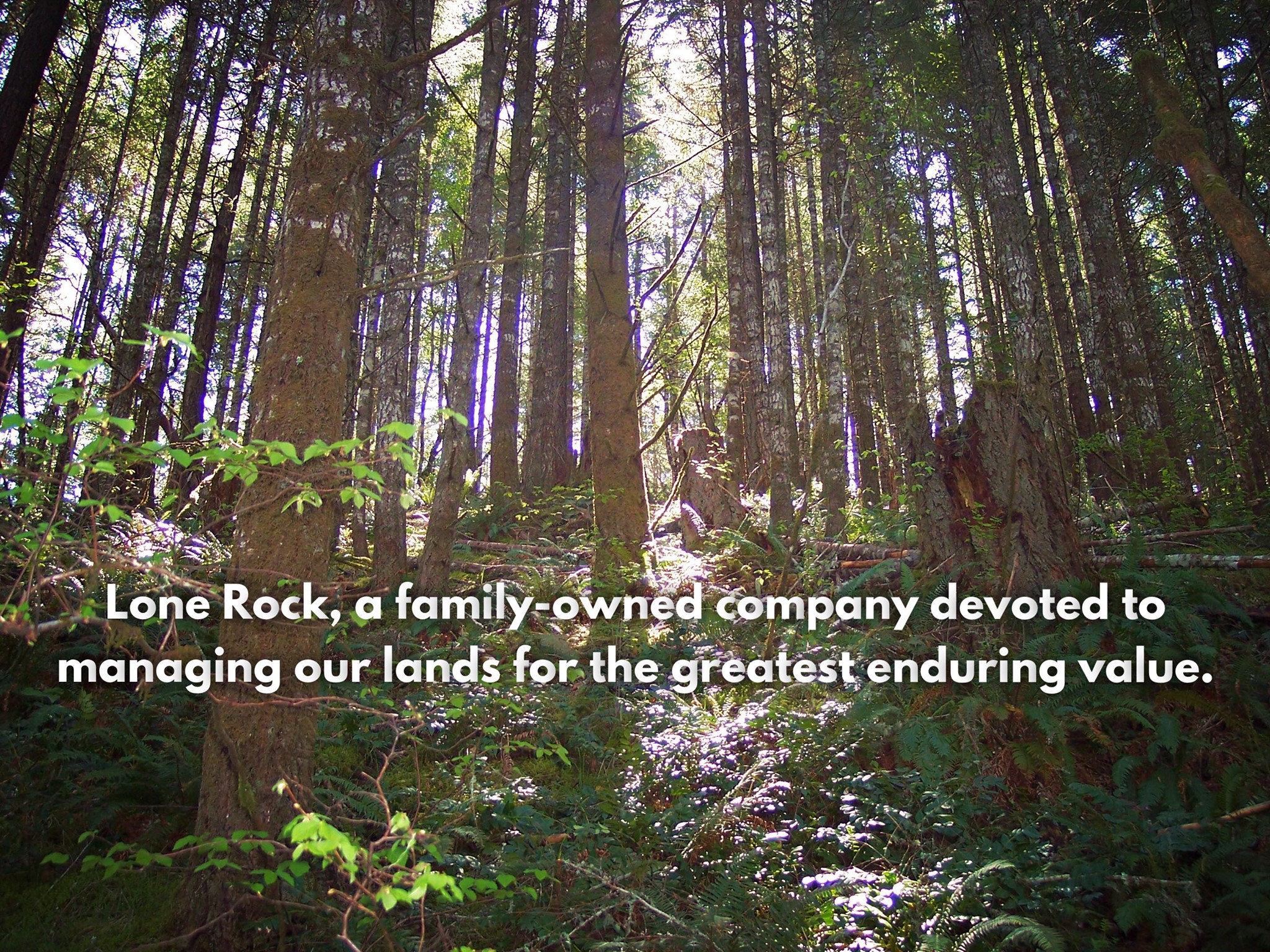 Lone Rock Resources