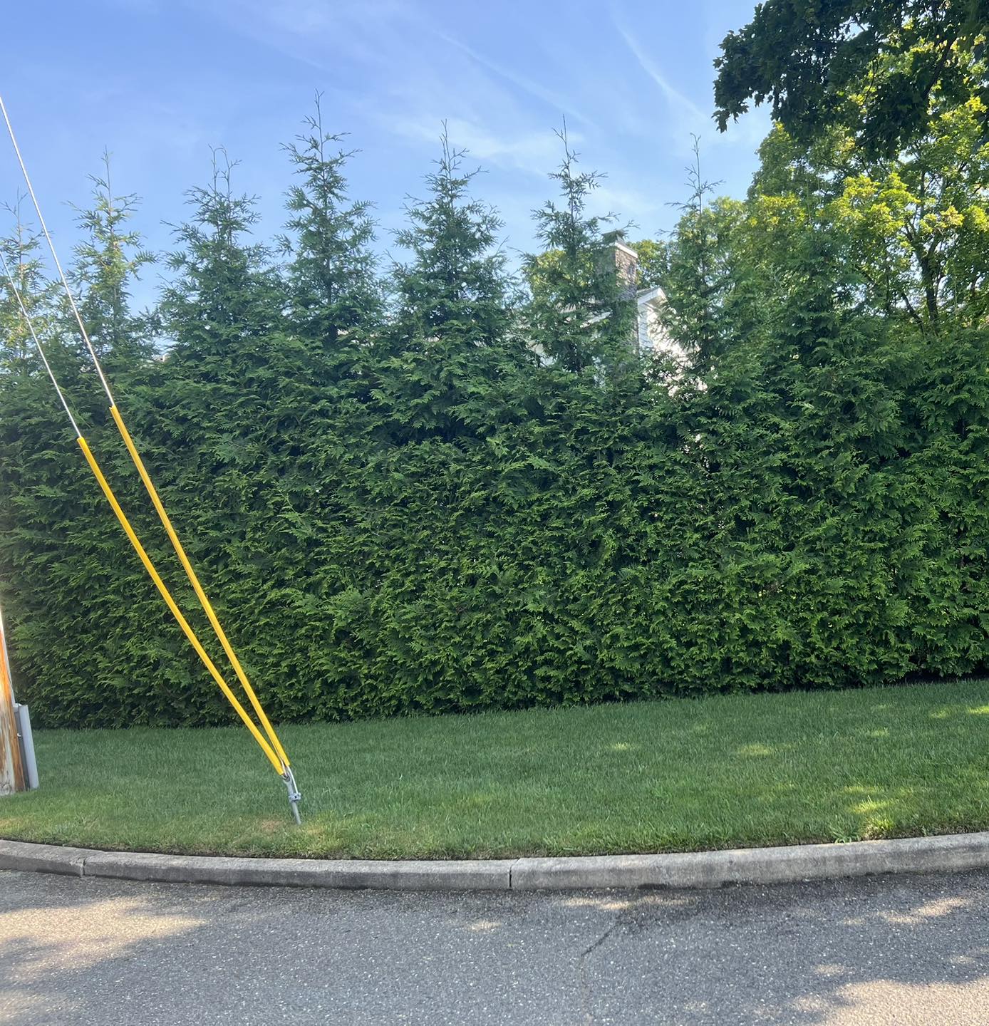 Privacy Tree Depot