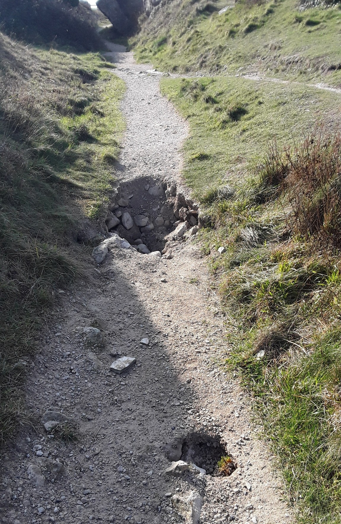 Dorset Council - Our Erosion Risk Management Team have... | Facebook