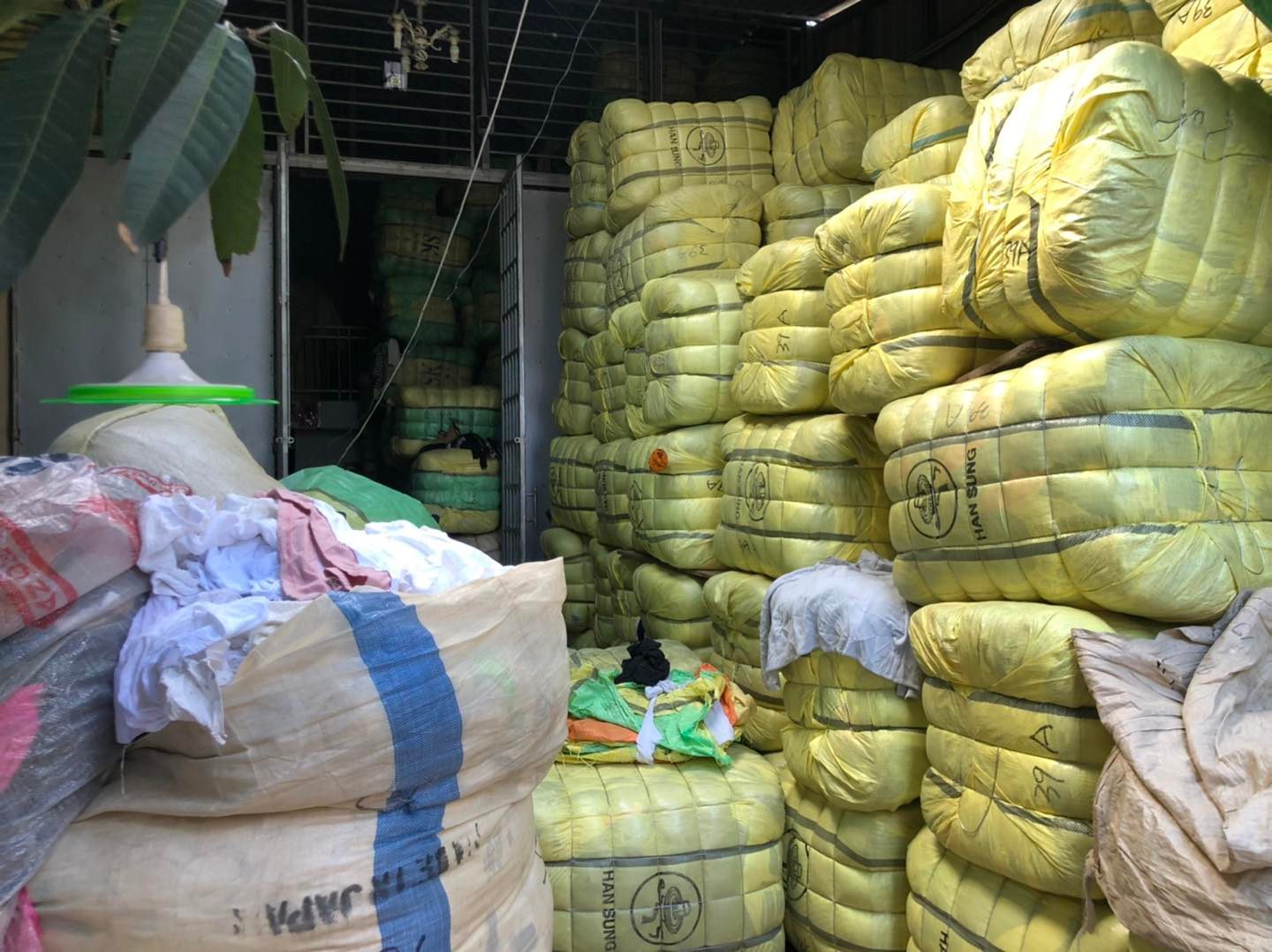 Samidy Sim | Phnom Penh