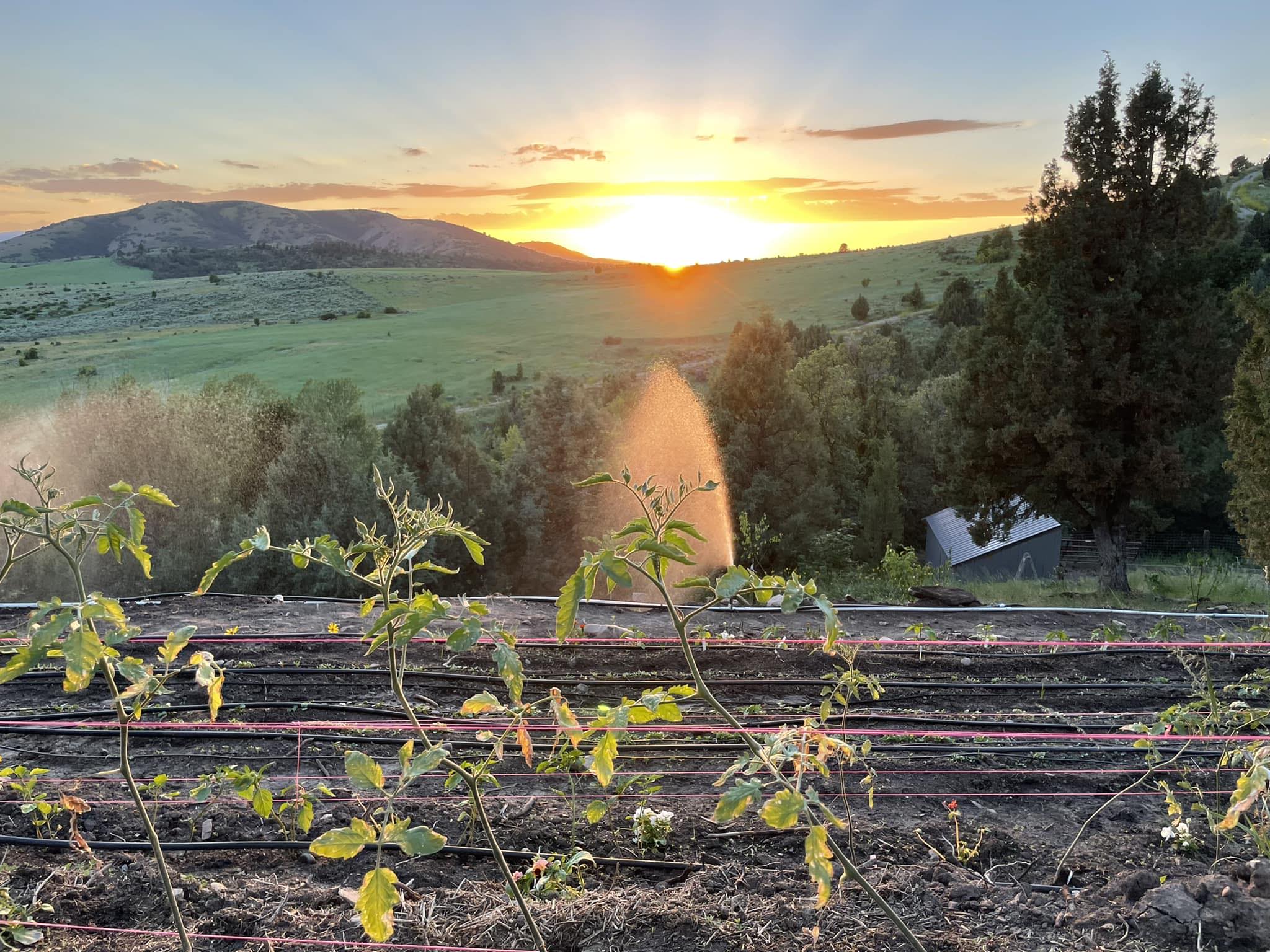 Mountain Maple Ranch | Preston ID