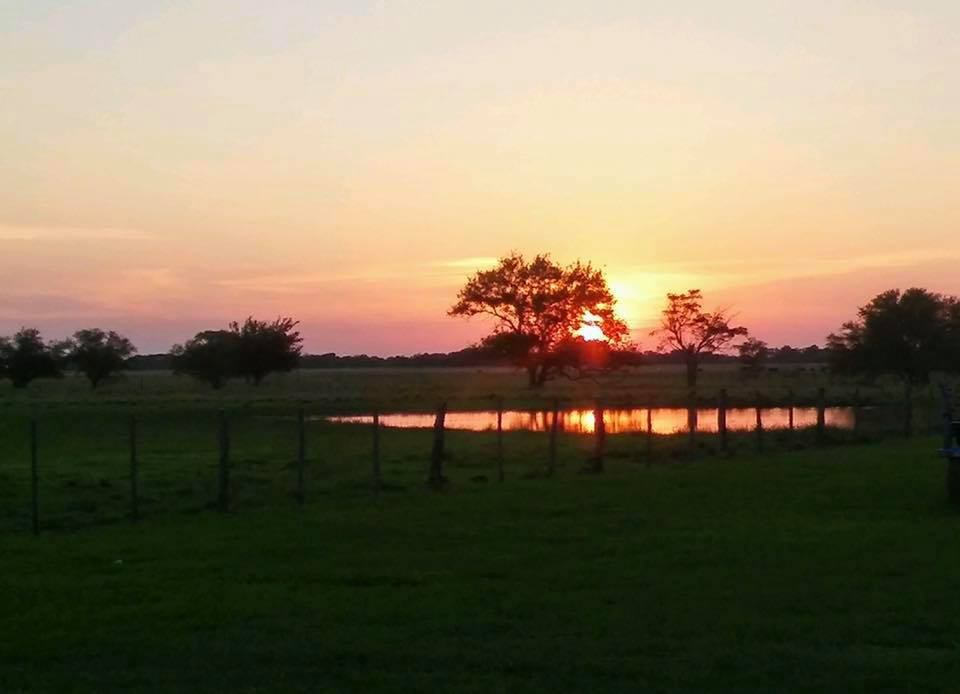 Phillips Farm & Ranch Sales | Uvalde TX