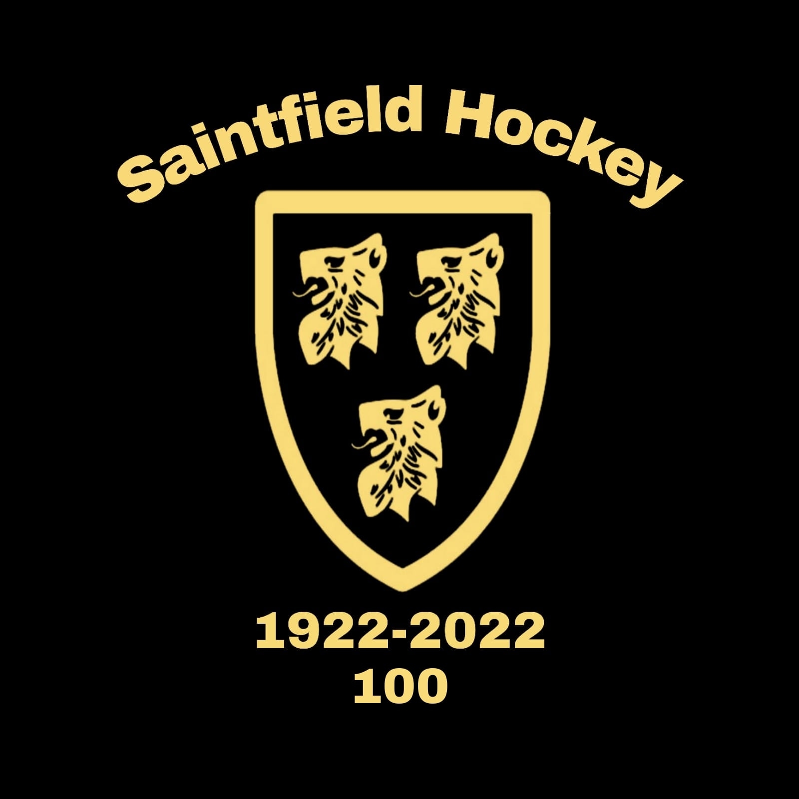 Saintfield Men's Hockey Club