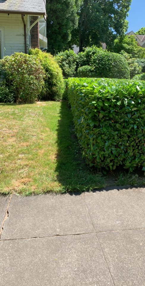 MSS Landscape Services | Portland OR