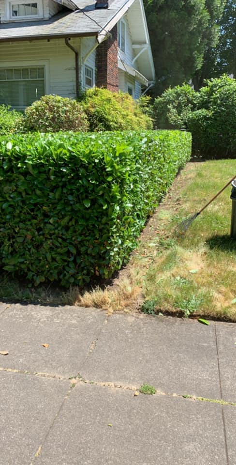 MSS Landscape Services | Portland OR