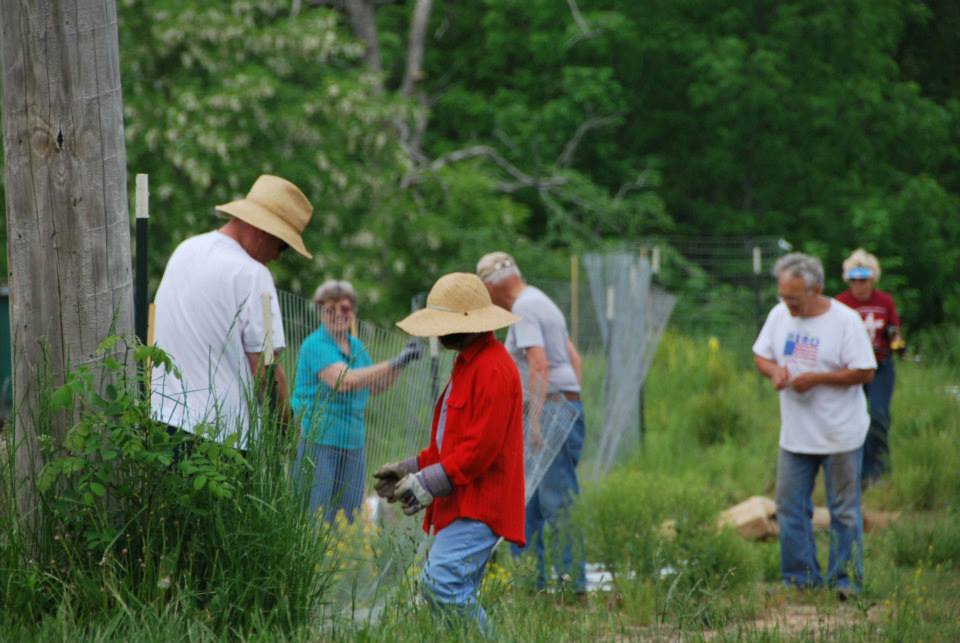 The Community - FYI - Fun FREE learning activity! BRAY CONSERVATION ...