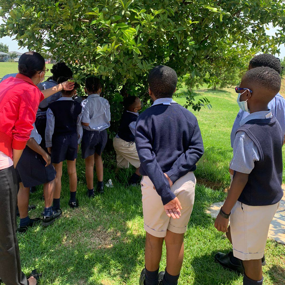🤓🧐 The Grade 4s had an extraordinary... - Curro Thatchfield | Facebook