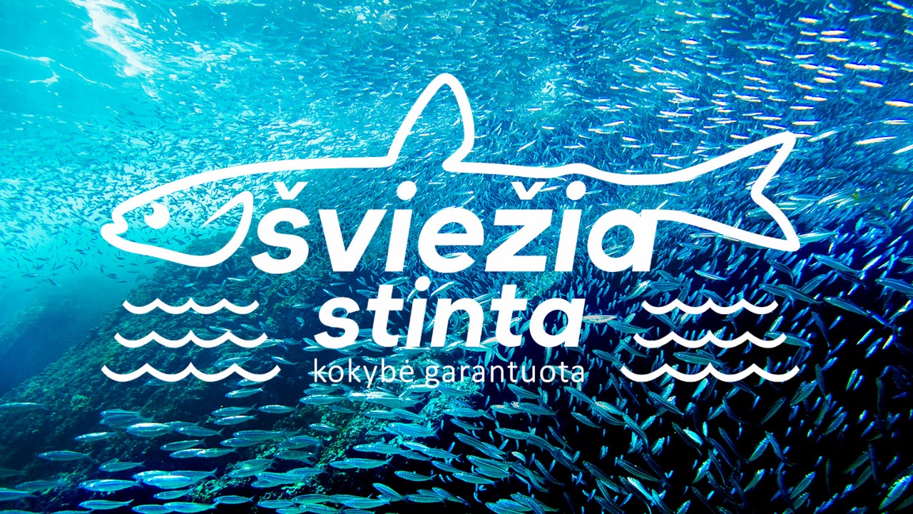 Šviežia stinta | Silute