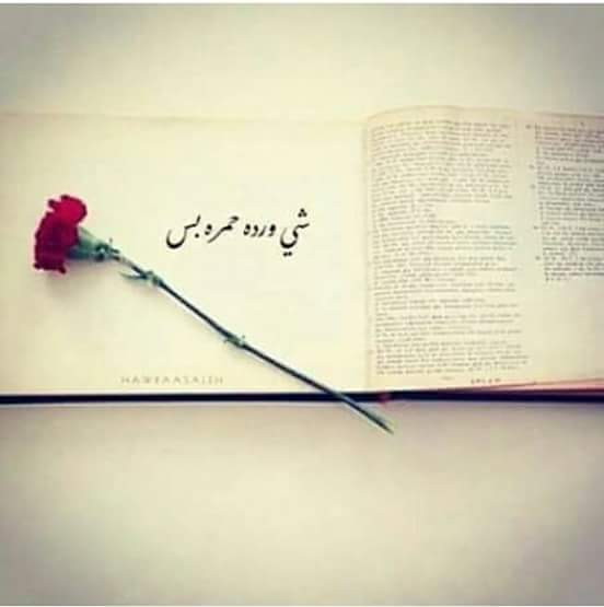 هِآآ حً ـبّـيّبّـيّ